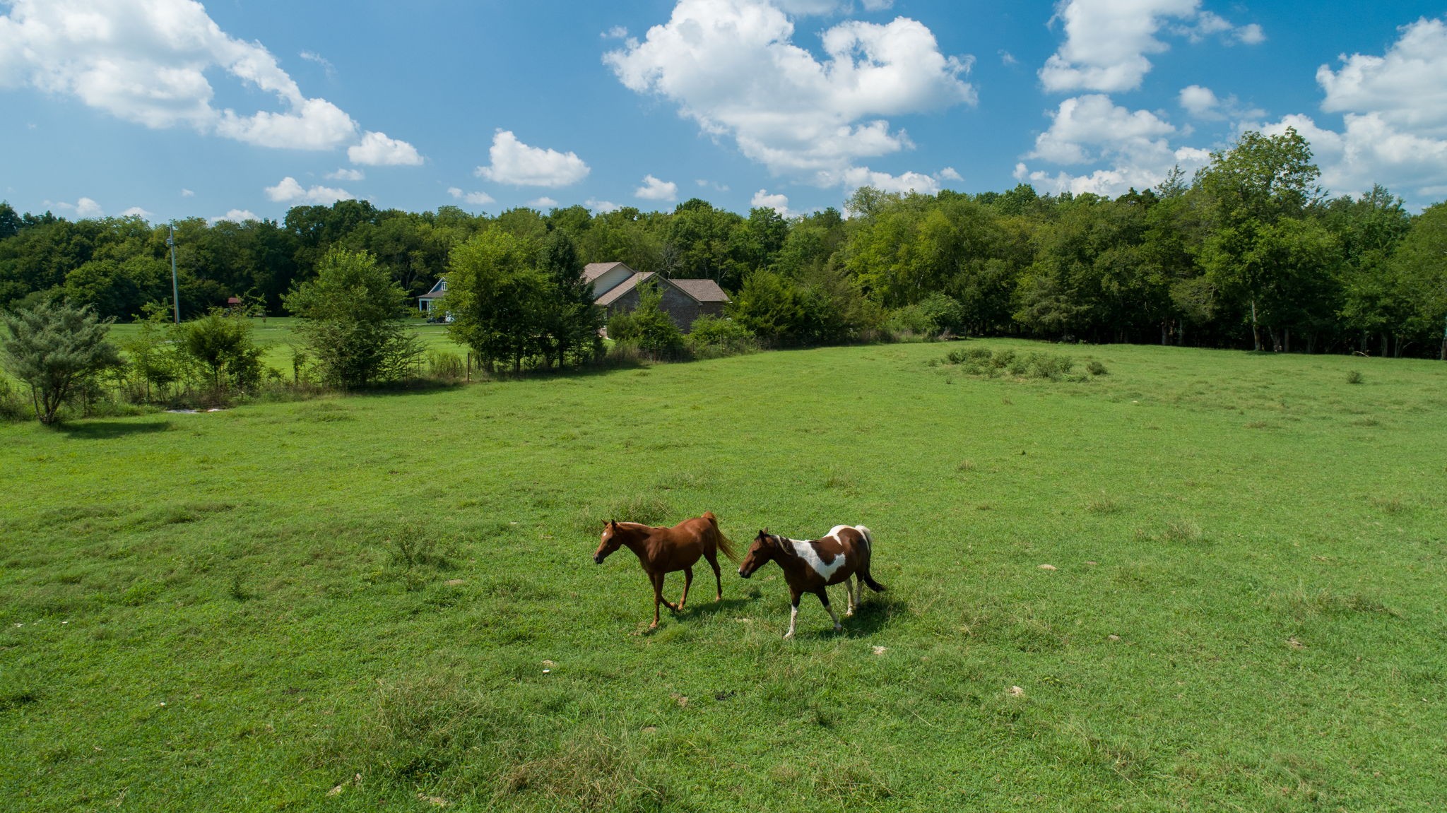 4961 Pyles Road Chapel Hill, TN 37034 - Photo 34 of 39 Gallery Image 34