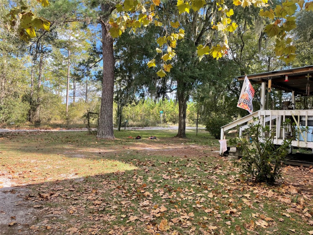 a view of a yard with plants and trees