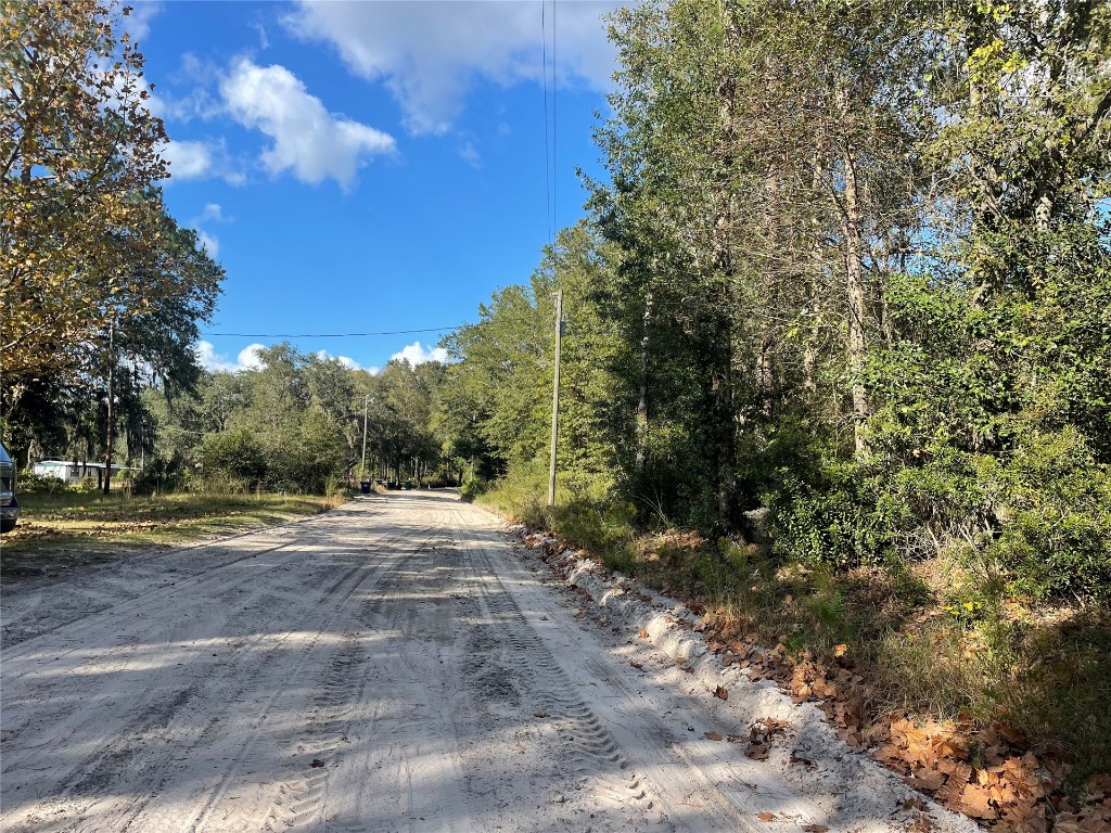 15206 Howard Road Bryceville, FL 32009 - Photo 11 of 13 a view of a yard with yellow lighting