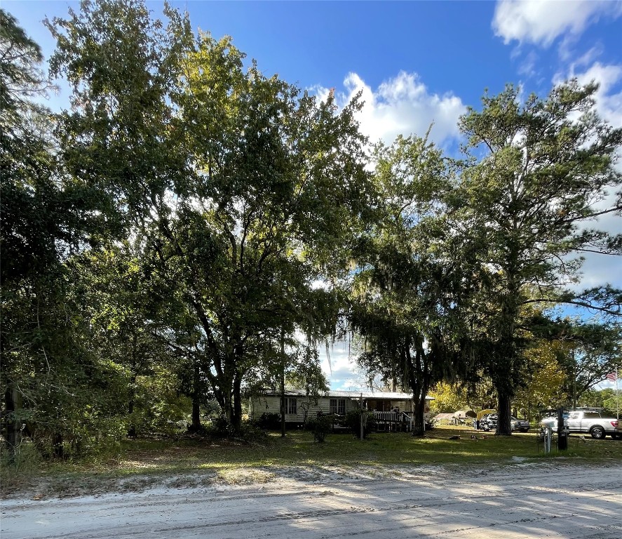 15206 Howard Road Bryceville, FL 32009 - Photo 4 of 13 a view of a yard