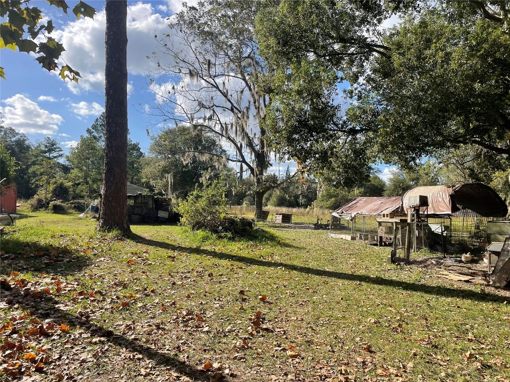15206 Howard Road Bryceville, FL 32009 - Photo 7 of 13 a view of a yard with yellow house