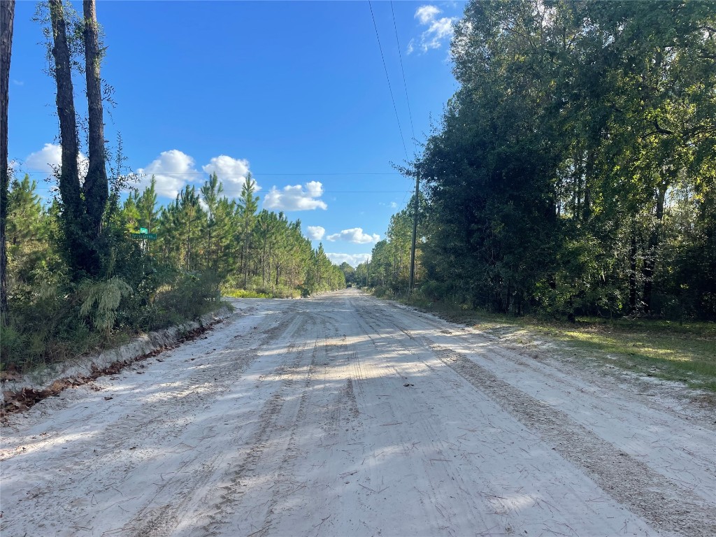 15206 Howard Road Bryceville, FL 32009 - Photo 10 of 13 a view of a yard