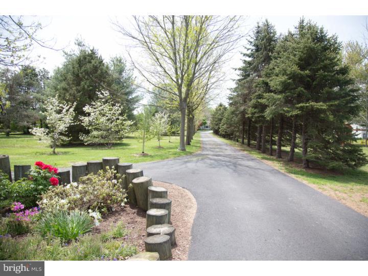 1435 Hourglass Road Hartly, DE 19953 - Photo 3 of 25 Driveway