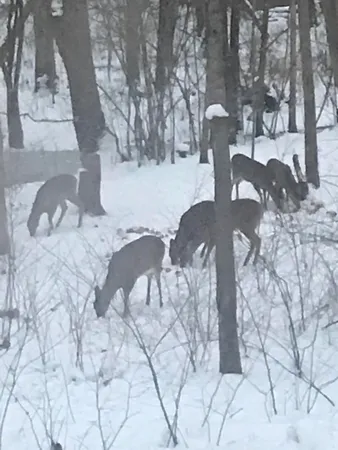 $750,000 | 50969 County Road 681, Lawrence, MI 49064