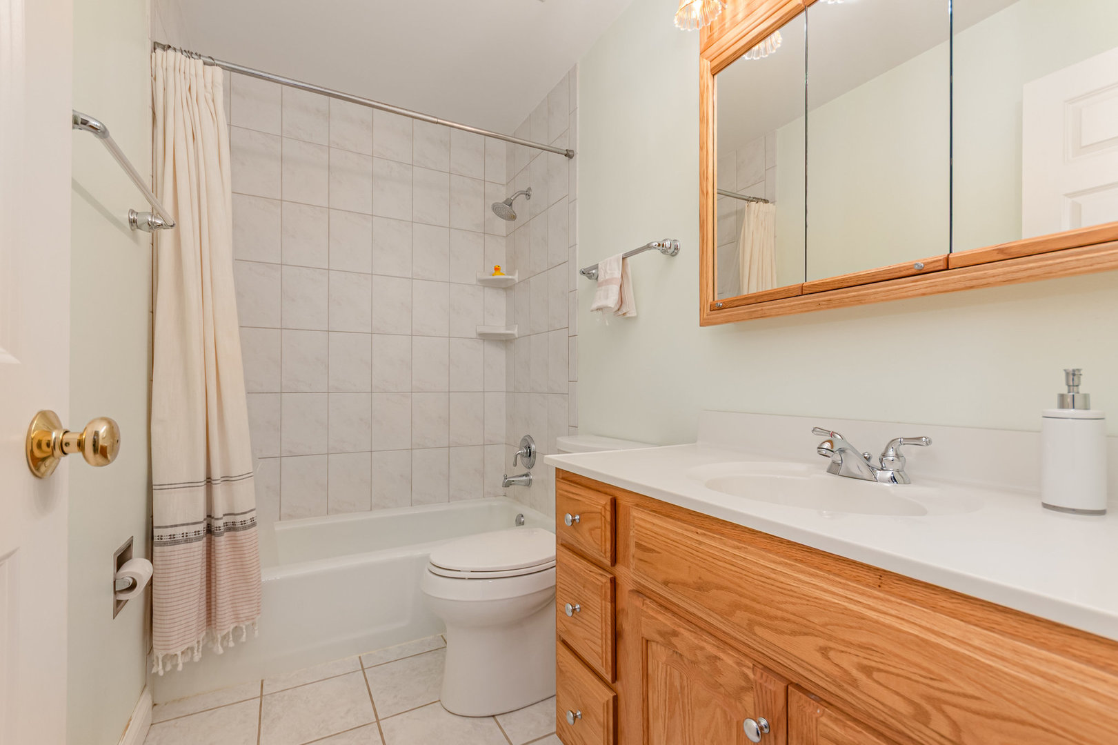 1106 Langley Circle Naperville, IL 60563 - Photo 18 of 29