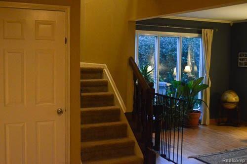 990 Dahlia Lane Rochester, MI 48307 - Photo 19 of 35 new carpet on stairs