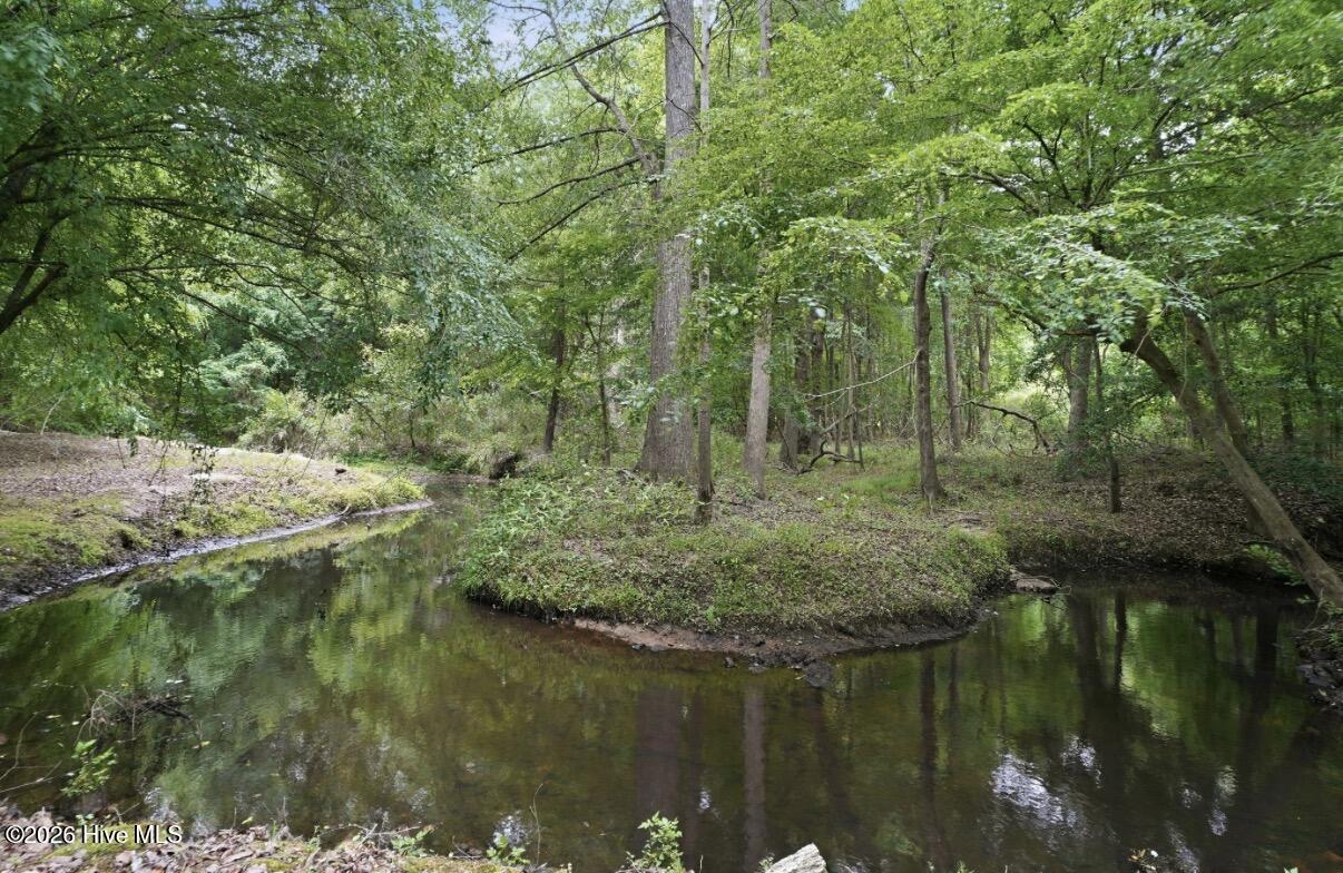 6644 Turkey Chase Road Battleboro, NC 27809 - Photo 65 of 70 IMG_4052