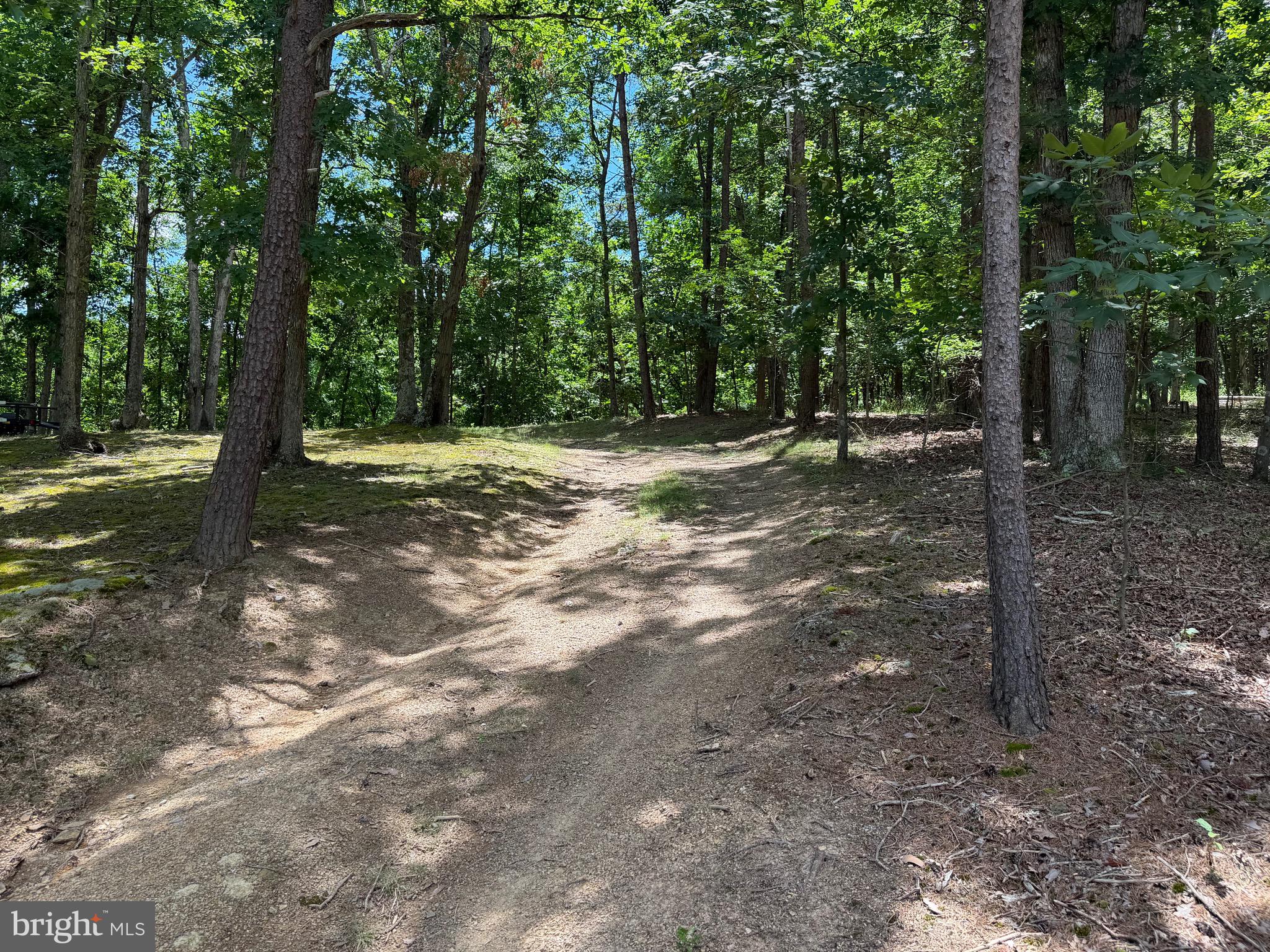 511 Chickadee Road Purgitsville, WV 26852 - Photo 10 of 99
