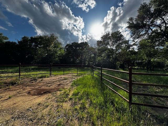 1000 County Road 1000 Road Wortham, TX 76693 - Photo 1 of 23 a view of a park with large trees