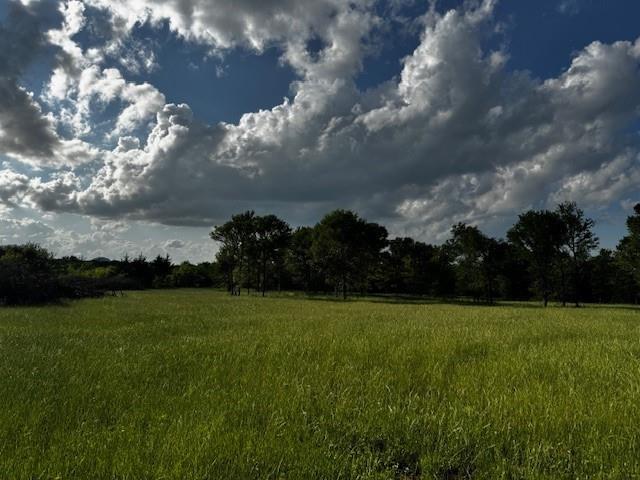 1000 County Road 1000 Road Wortham, TX 76693 - Photo 17 of 23 a view of a golf course with outside space