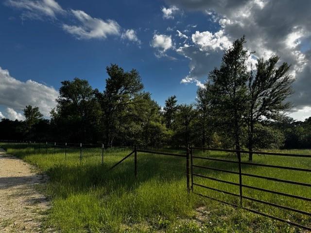 1000 County Road 1000 Road Wortham, TX 76693 - Photo 18 of 23 a view of a park