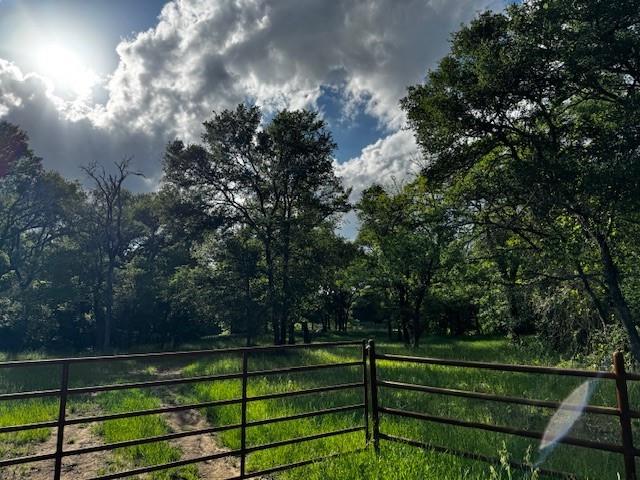 1000 County Road 1000 Road Wortham, TX 76693 - Photo 3 of 23 a view of a bench in a park