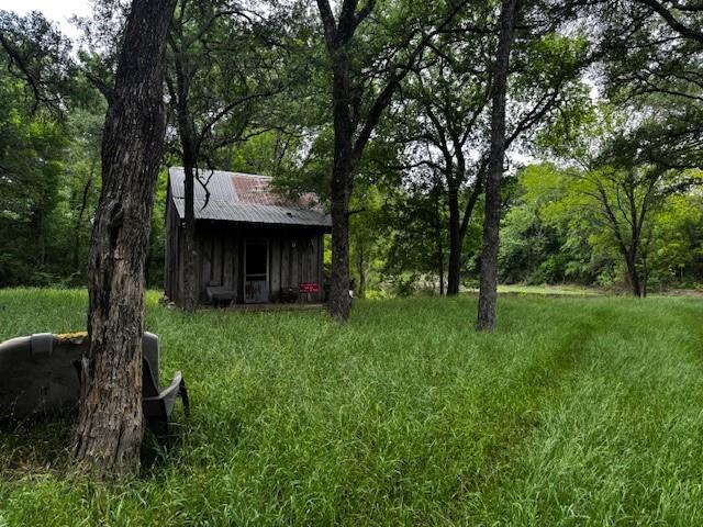 1000 County Road 1000 Road Wortham, TX 76693 - Photo 5 of 23 a view of a house with a backyard and a large tree