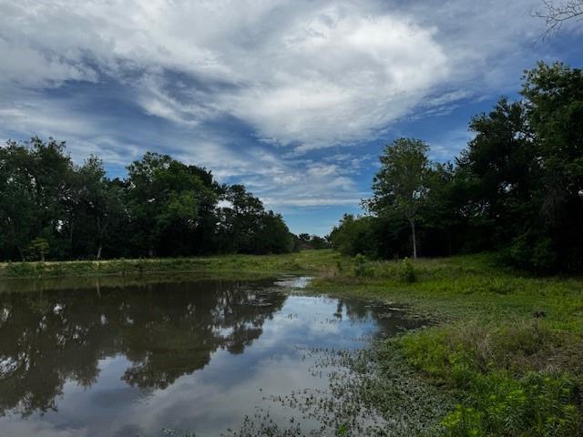 1000 County Road 1000 Road Wortham, TX 76693 - Photo 9 of 23 a view of a lake with a big yard