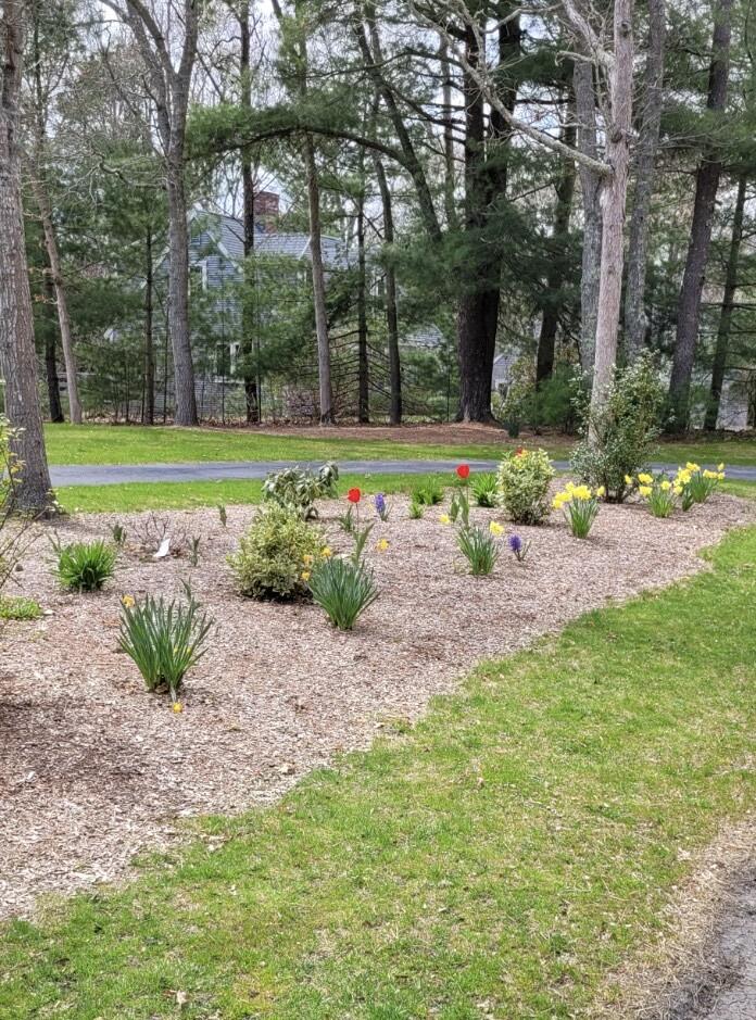 635 Lumbert Mill Road Centerville, MA 02632 - Photo 2 of 41 Attachment