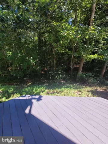 a view of yard from deck