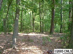 2240 X Mathis Church Road, Unit 1 Catawba, NC 28609 - Photo 1 of 2 Gallery Image 1