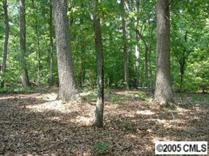 2240 X Mathis Church Road, Unit 1 Catawba, NC 28609 - Photo 2 of 2 Gallery Image 2