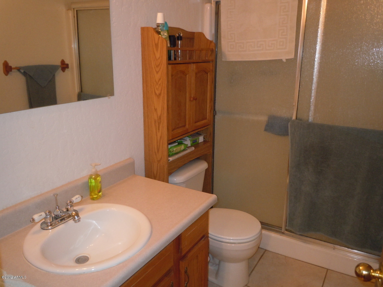 12029 East Reksom Road Florence, AZ 85132 - Photo 11 of 17 Master bath