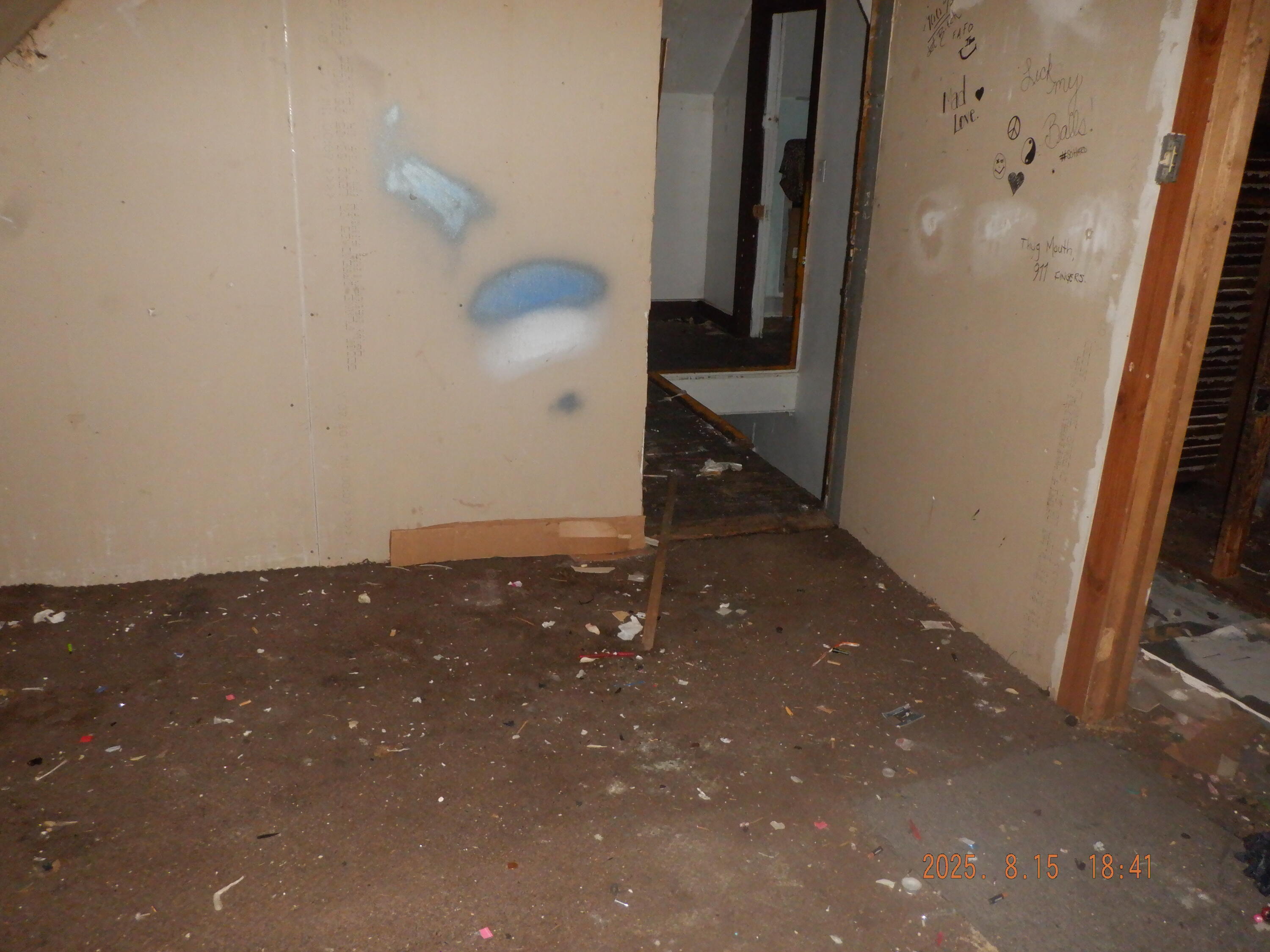 124 Middle Street Three Rivers, MI 49093 - Photo 14 of 20 DSCF0634