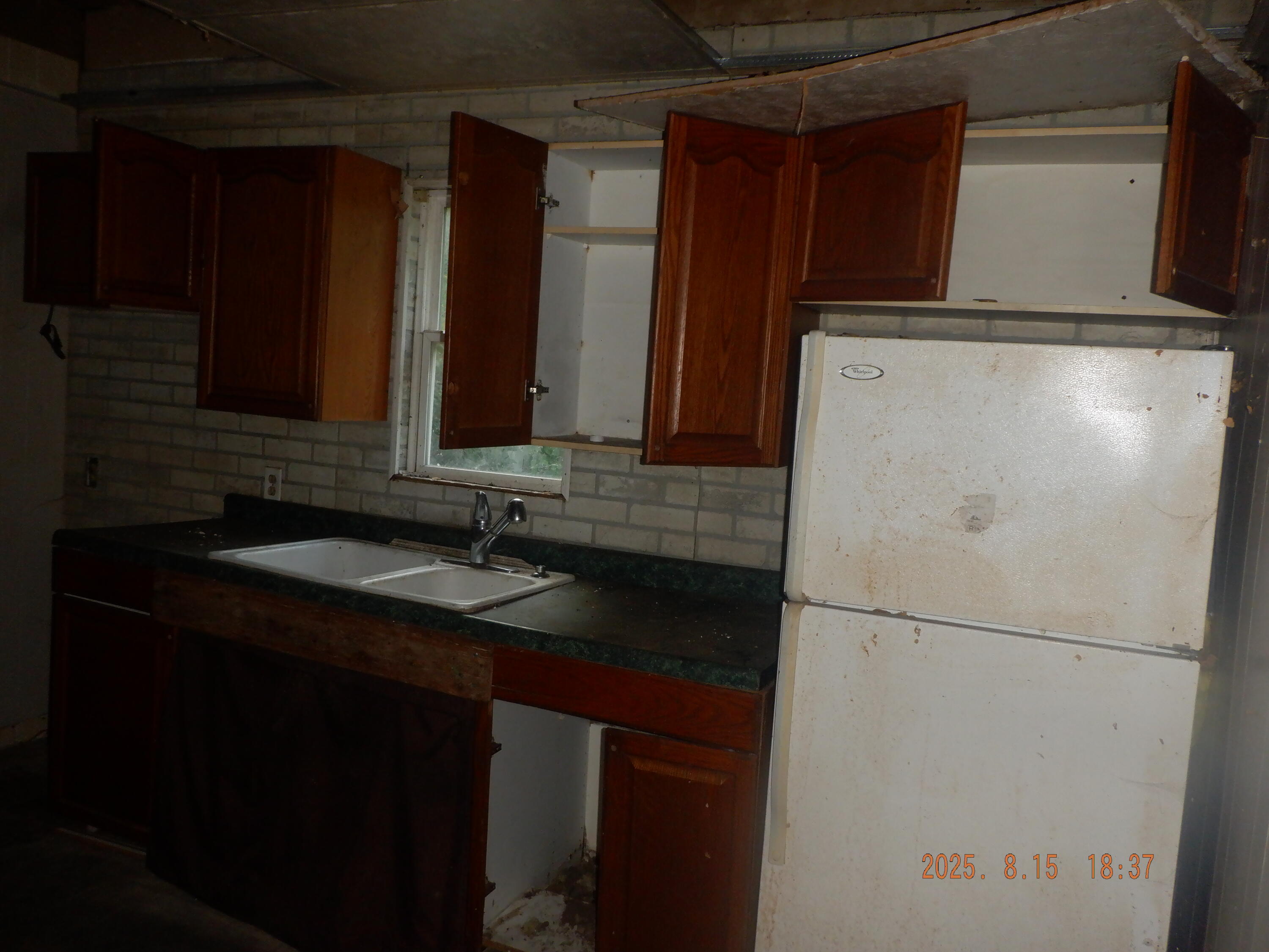 124 Middle Street Three Rivers, MI 49093 - Photo 7 of 20 DSCF0617