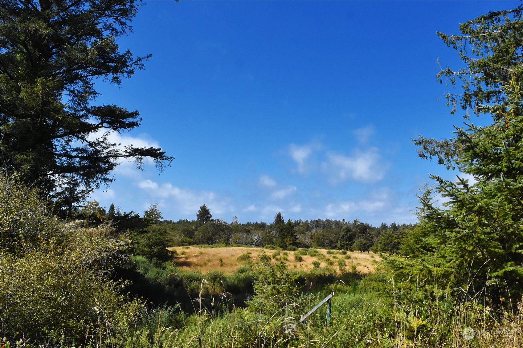 2917 Oysterville Road Oysterville, WA 98641 - Photo 1 of 20 Gallery Image 1