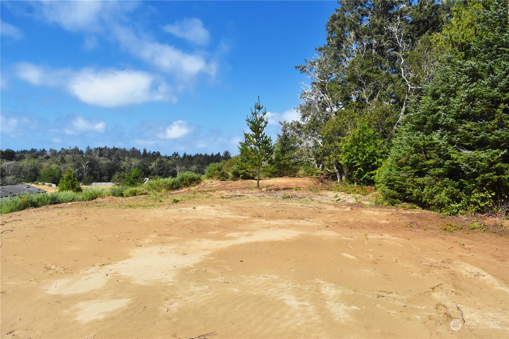 2917 Oysterville Road Oysterville, WA 98641 - Photo 11 of 20 Gallery Image 11