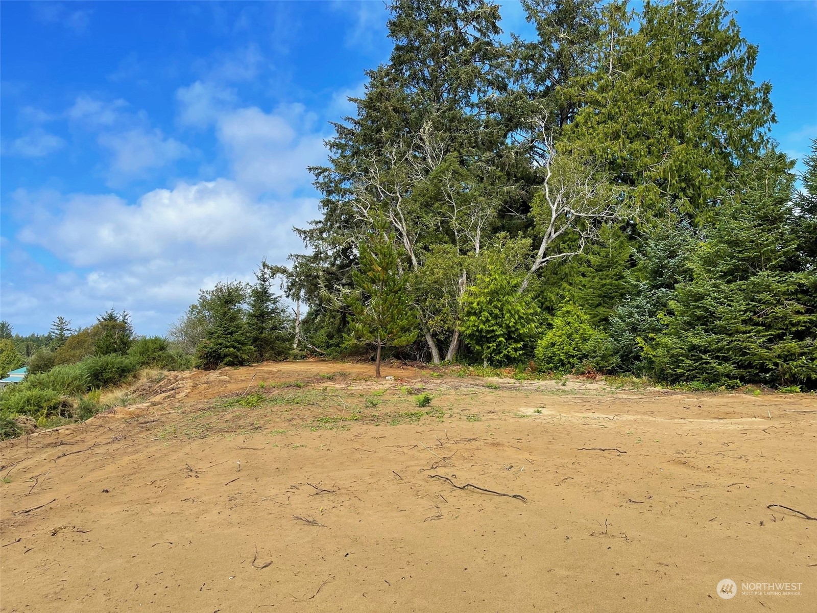 2917 Oysterville Road Oysterville, WA 98641 - Photo 14 of 20 Gallery Image 14