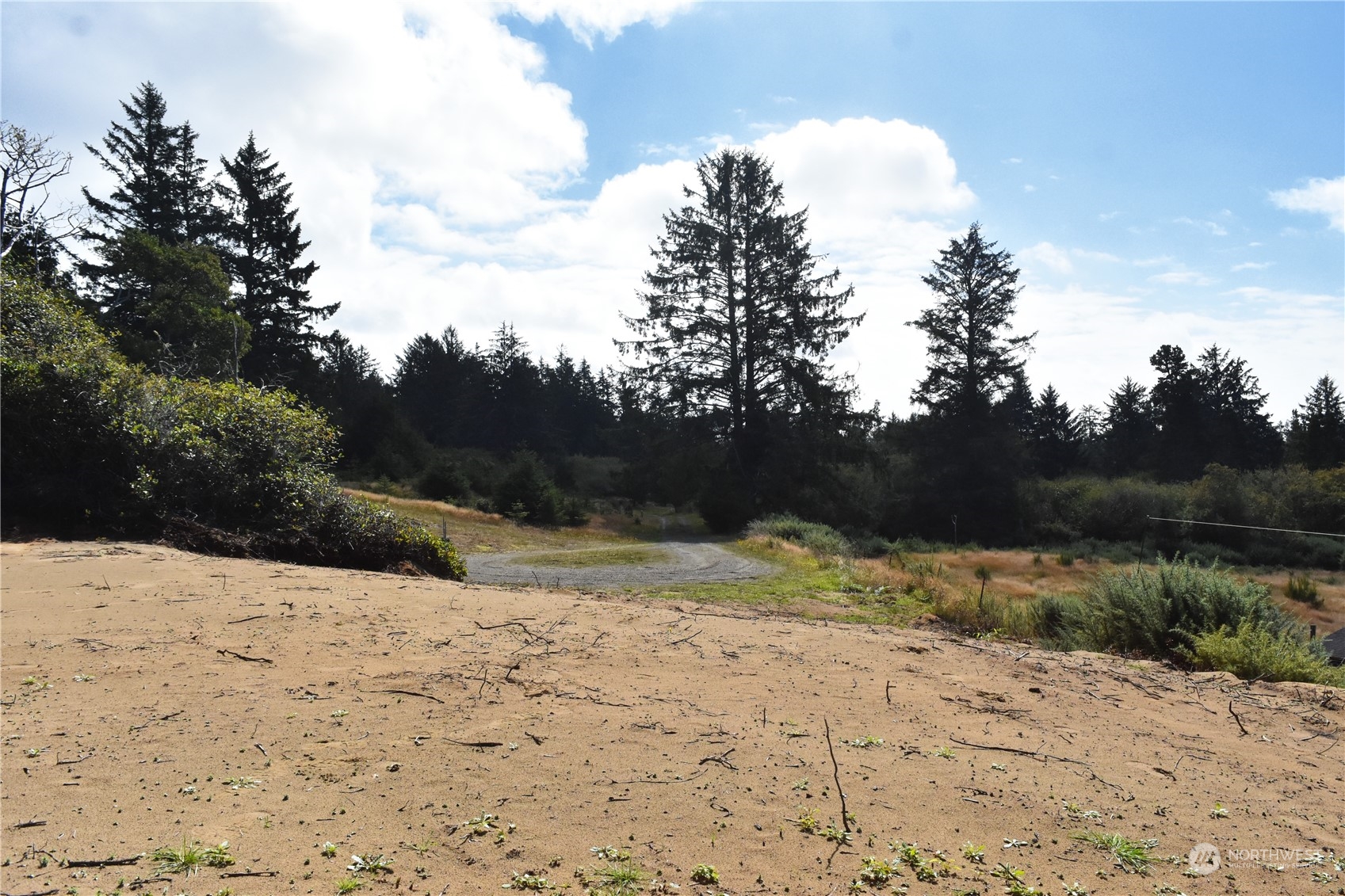 2917 Oysterville Road Oysterville, WA 98641 - Photo 15 of 20 Gallery Image 15