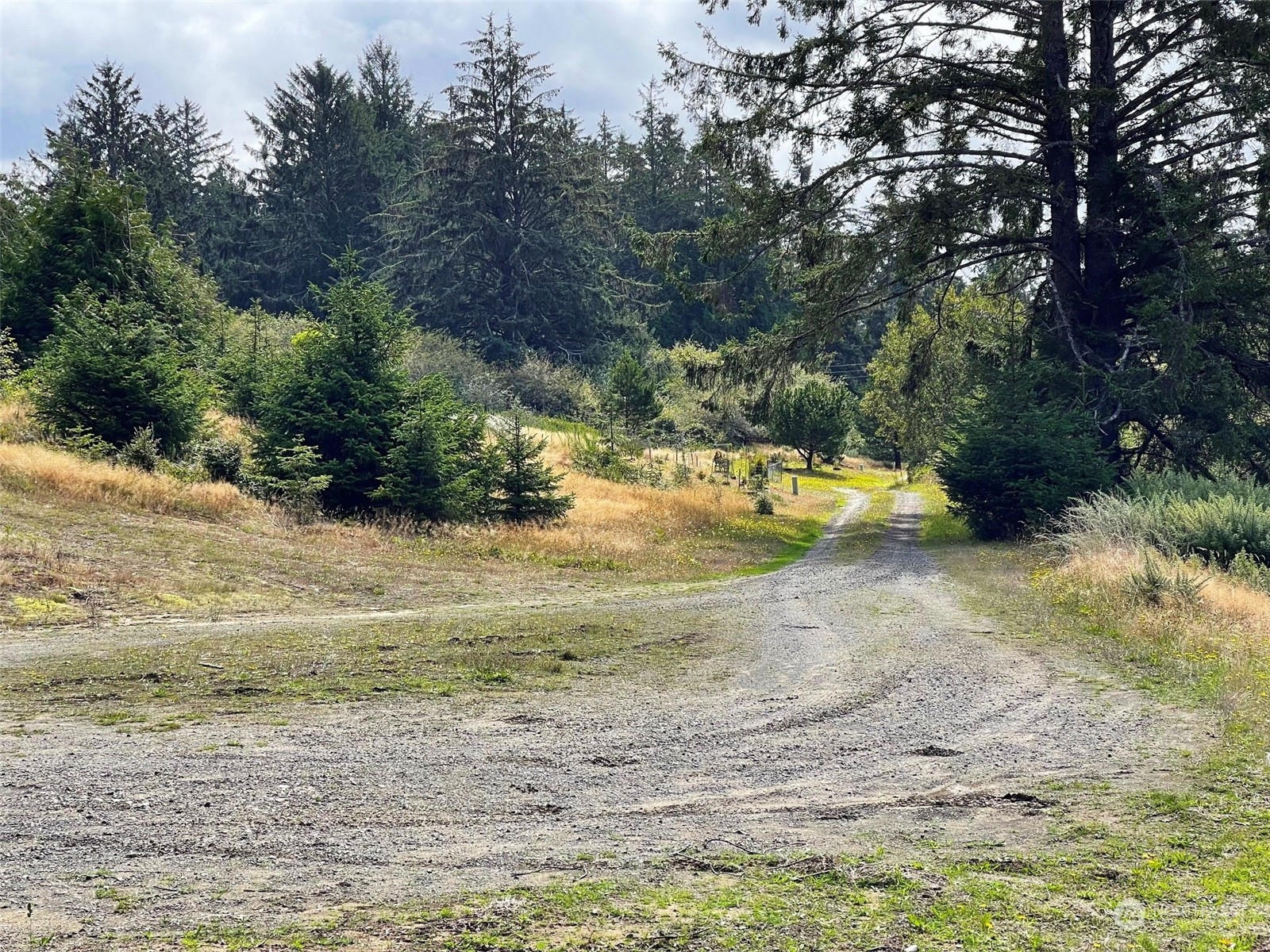 2917 Oysterville Road Oysterville, WA 98641 - Photo 17 of 20 Gallery Image 17