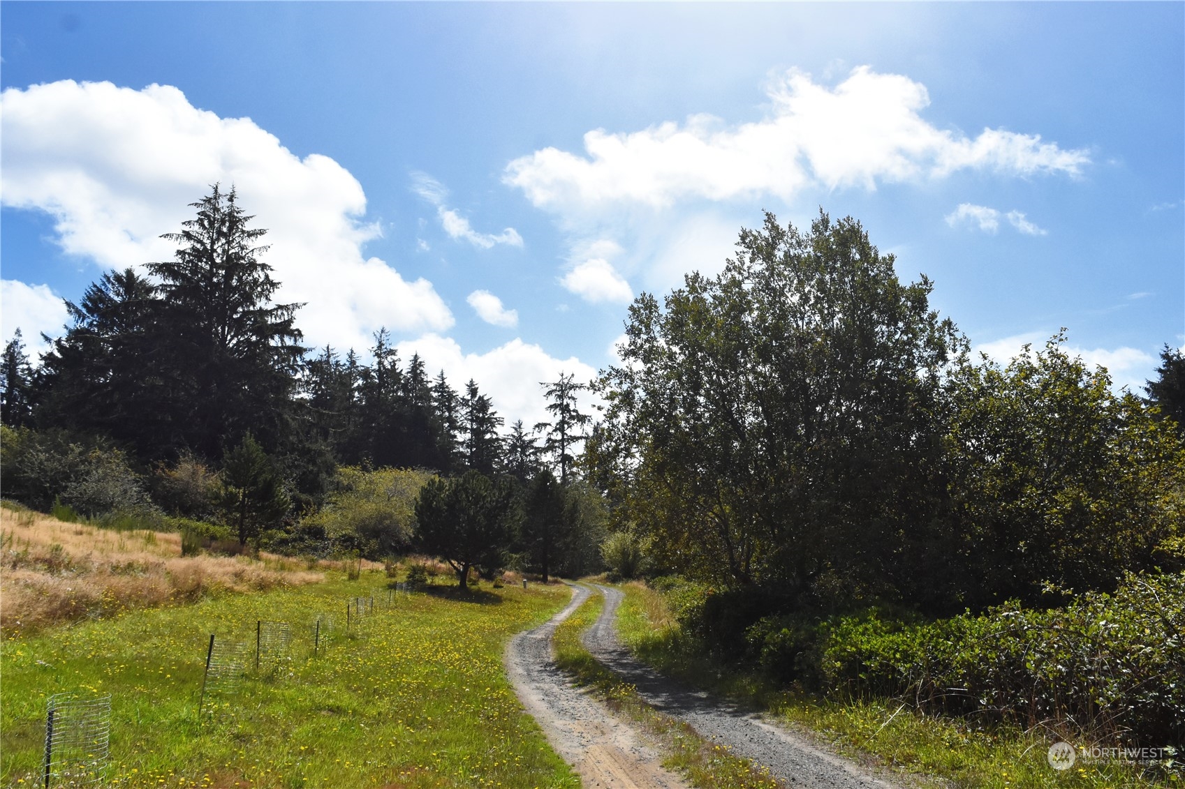 2917 Oysterville Road Oysterville, WA 98641 - Photo 19 of 20 Gallery Image 19