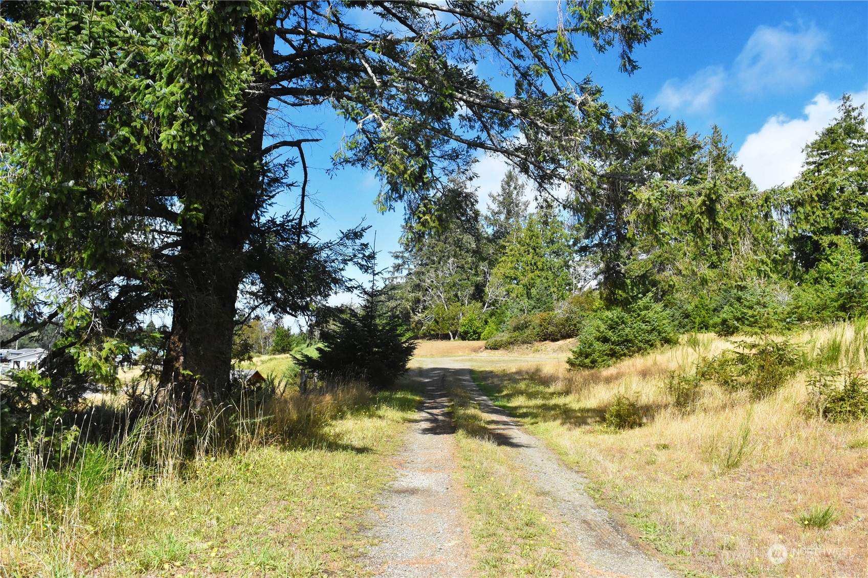 2917 Oysterville Road Oysterville, WA 98641 - Photo 20 of 20 Gallery Image 20