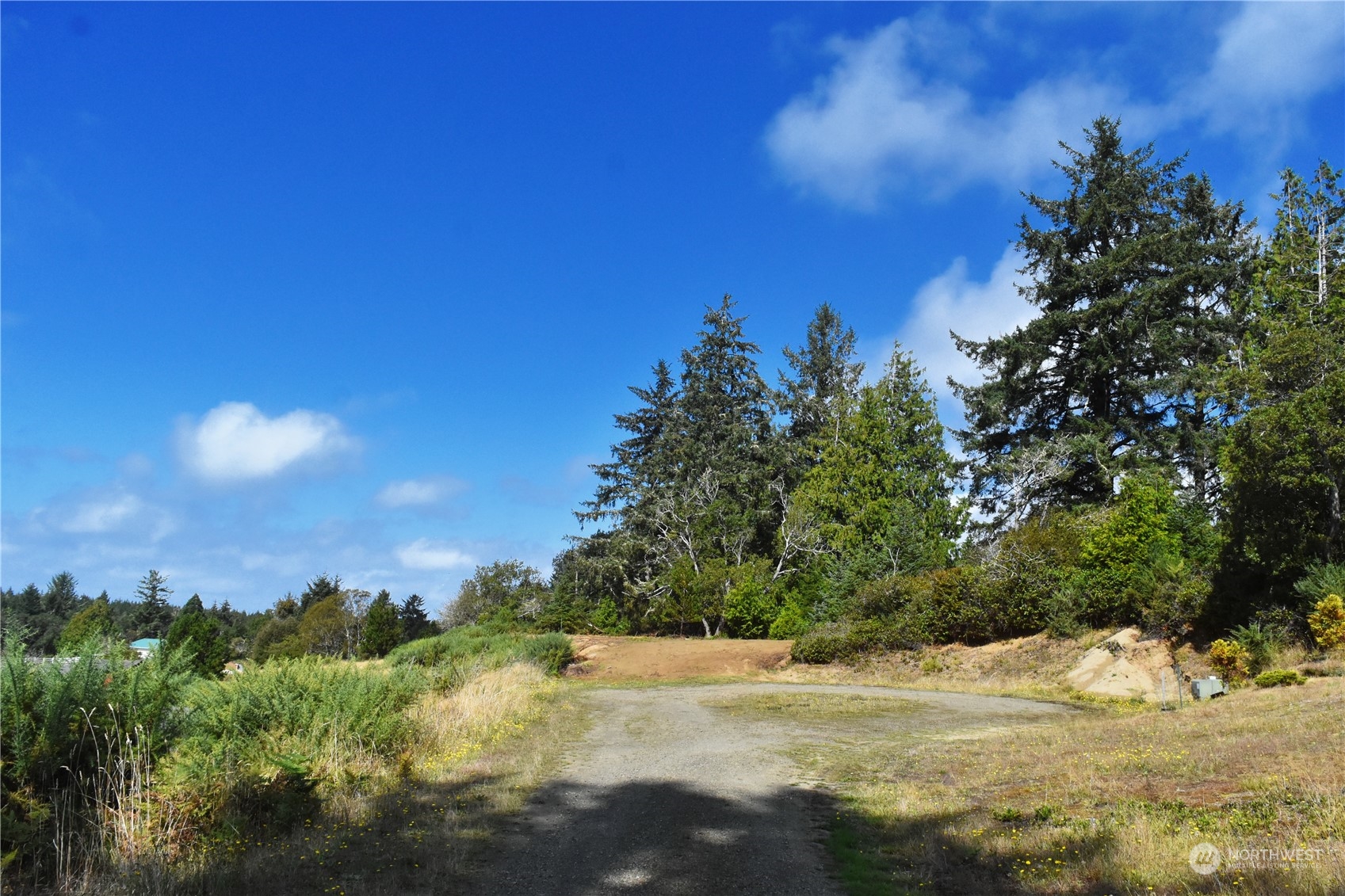 2917 Oysterville Road Oysterville, WA 98641 - Photo 2 of 20 Gallery Image 2