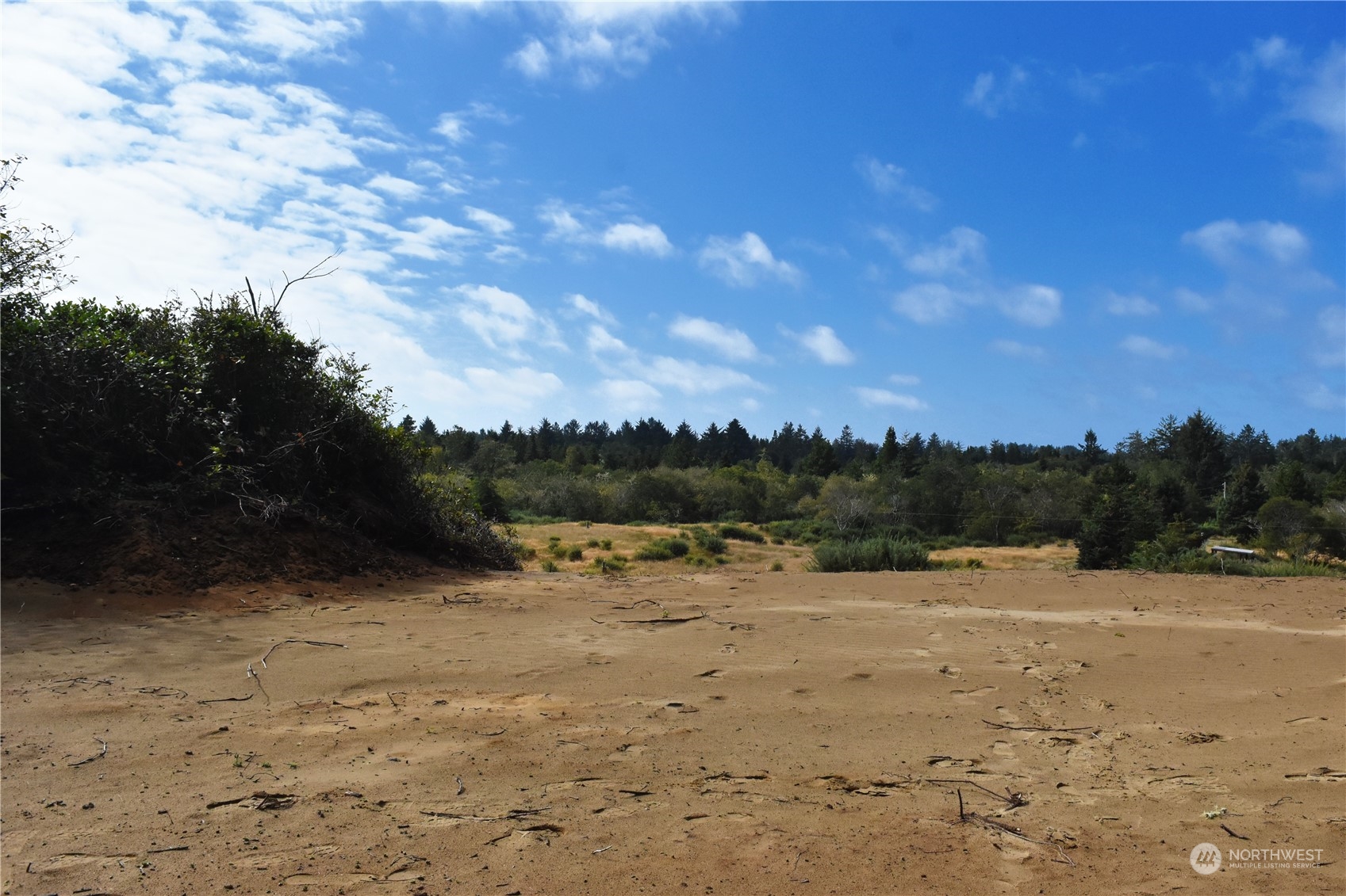 2917 Oysterville Road Oysterville, WA 98641 - Photo 6 of 20 Gallery Image 6