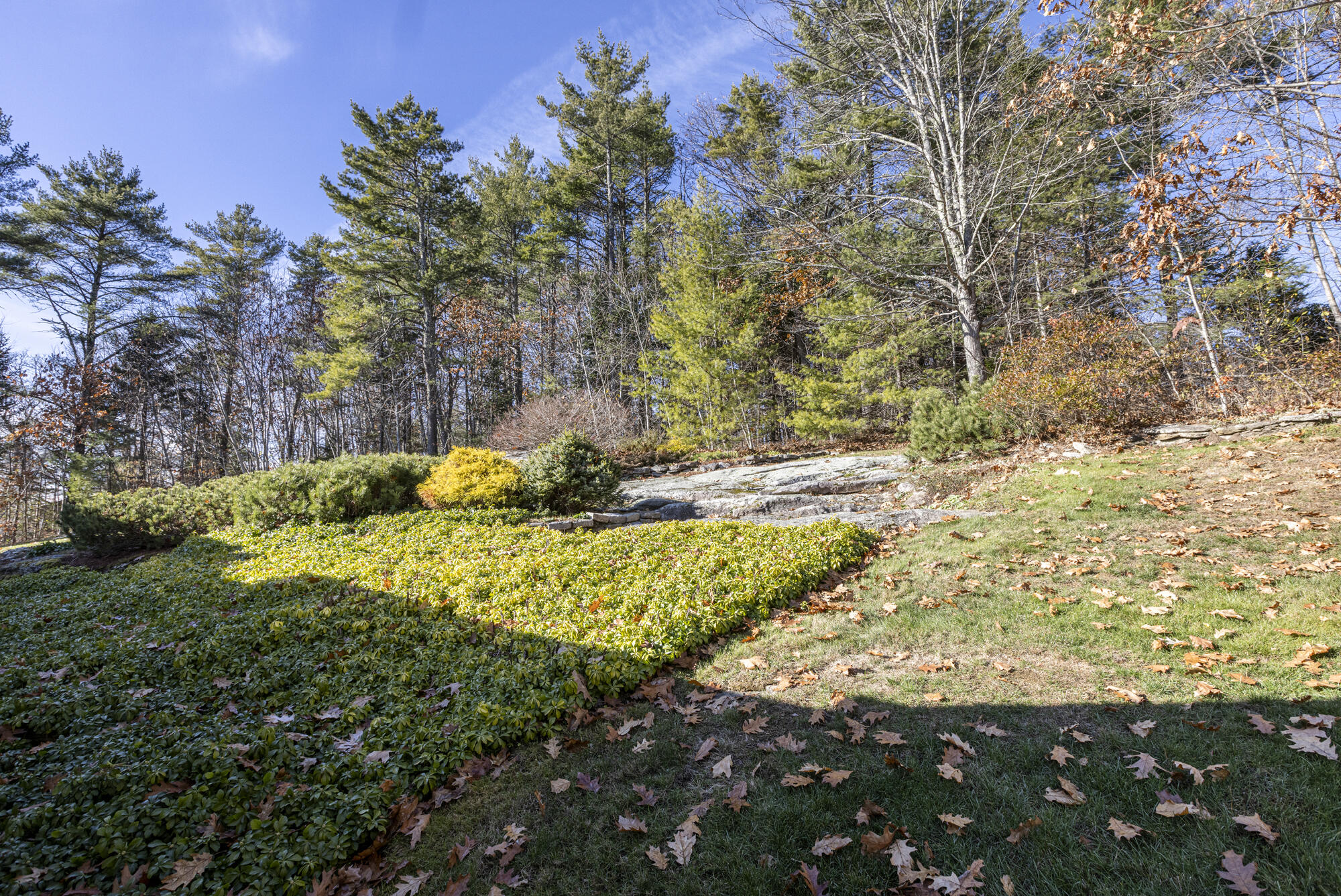 258 Foreside Road Cumberland, ME 04110 - Photo 64 of 83 Rear Yard