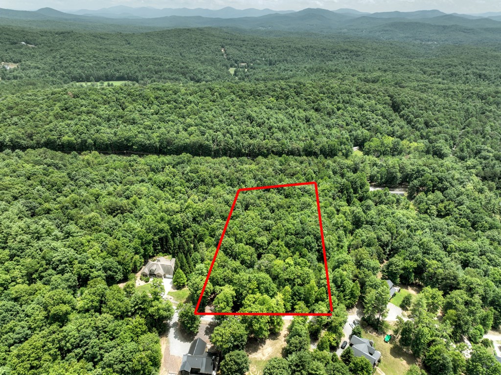 Lt C Dillons Ridge Road Morganton, GA 30560 - Photo 3 of 18 Gallery Image 3