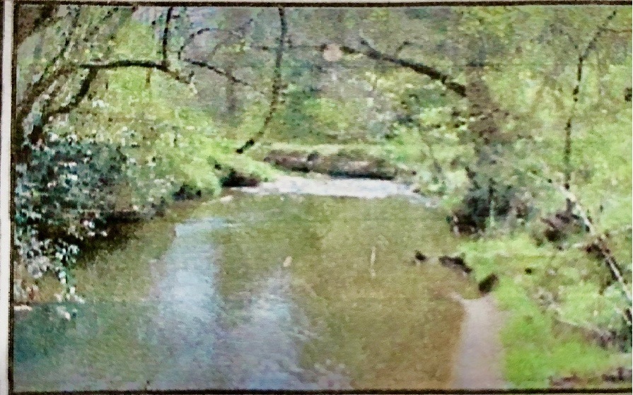 0 Mouse Crk Trail Murphy, NC 28906 - Photo 2 of 6 Additional View