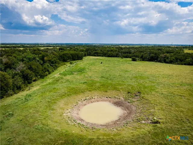 a view of a field with an tree and a yard