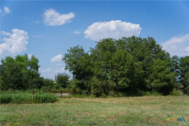 a view of a backyard with trampoline