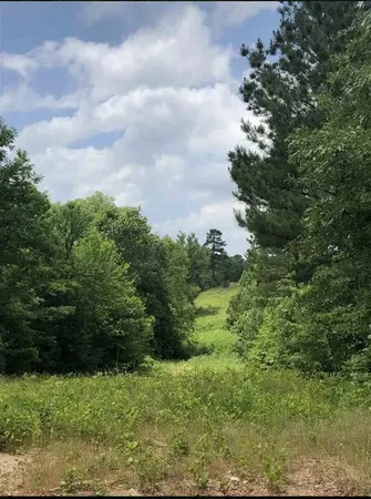 $230,000 | Tbd Aster Road, Gilmer, TX 75644