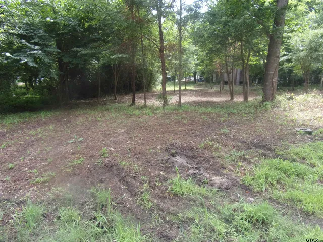 a view of outdoor space with trees all around