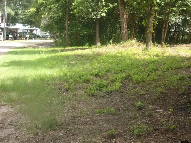 a view of outdoor space with deck