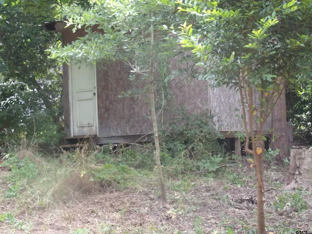 a backyard of a house with lots of plants and trees