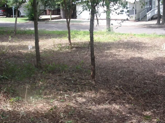 a view of a yard with a tree in the background