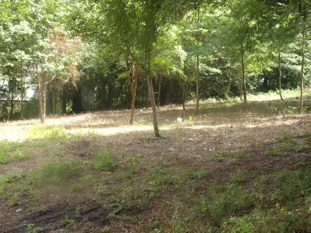 a view of a yard with a tree