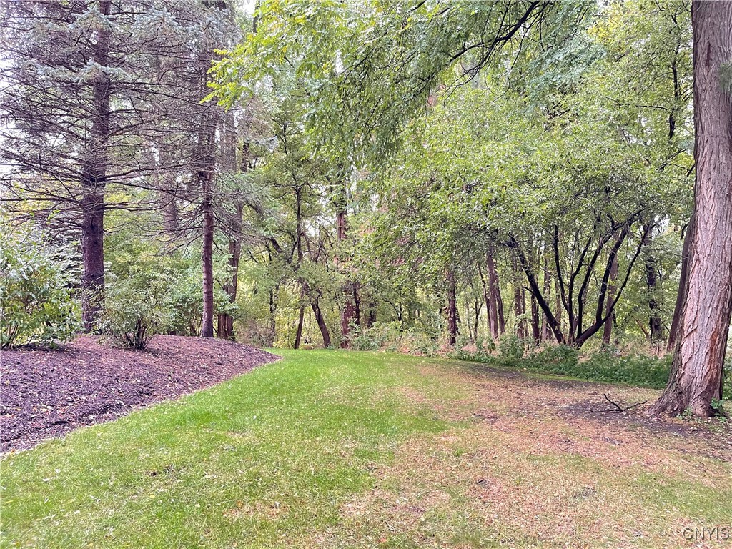 4875 Huntwood Path Manlius, NY 13104 - Photo 35 of 37