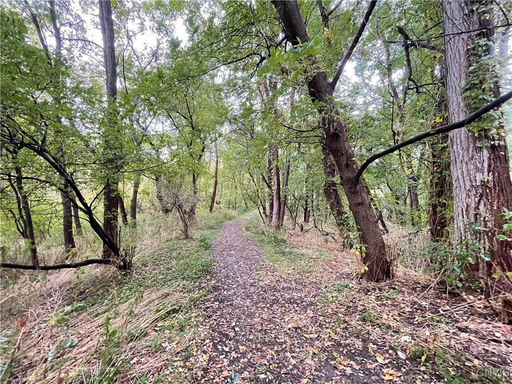 4875 Huntwood Path Manlius, NY 13104 - Photo 37 of 37