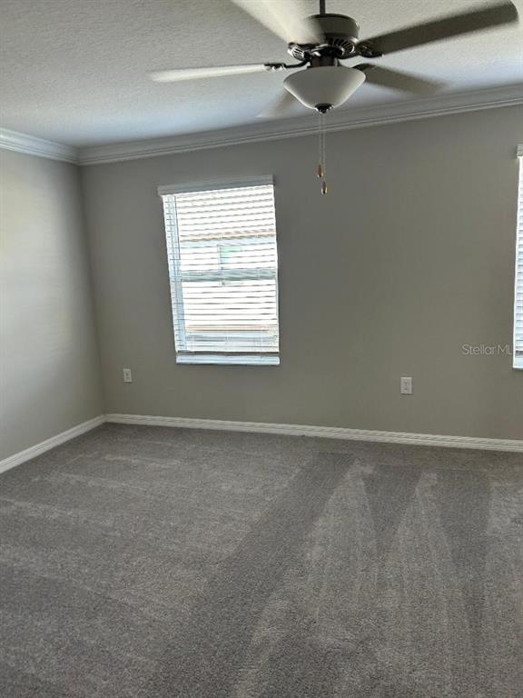 2179 Azure View Way Lutz, FL 33558 - Photo 10 of 16