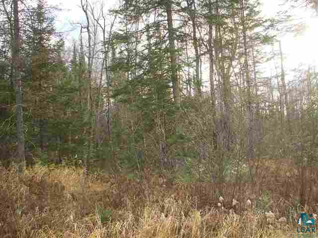 10-ac East 10-ac E County Road Solon Springs, WI 54873 - Photo 1 of 1 Gallery Image 1