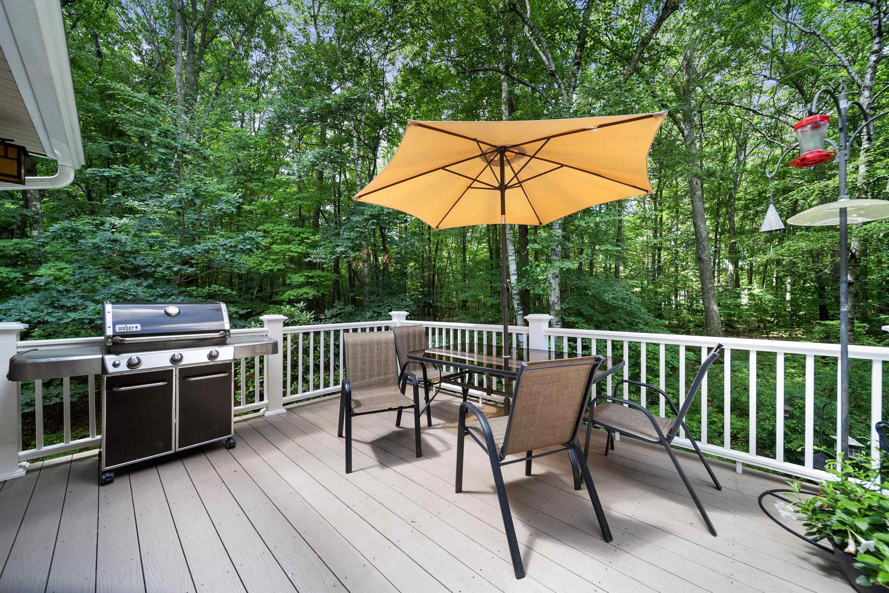 46 Walker Road Atkinson, NH 03811 - Photo 30 of 30